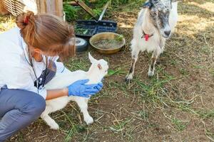 Young veterinarian woman with stethoscope holding and examining goat kid on ranch background. Young goatling in vet hands for check up in natural eco farm. Modern animal livestock, ecological farming. photo