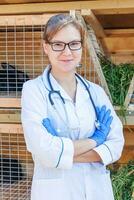 Veterinarian woman with stethoscope on barn ranch background. Vet doctor check up rabbit in natural eco farm. Animal care and ecological livestock farming concept. photo