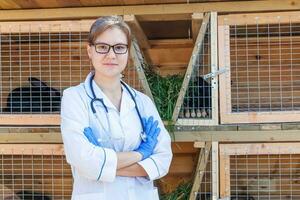 Veterinarian woman with stethoscope on barn ranch background. Vet doctor check up rabbit in natural eco farm. Animal care and ecological livestock farming concept. photo