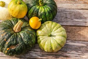 fondo otoñal. caída de otoño natural ver calabazas sobre fondo de madera. papel tapiz inspirador de octubre o septiembre. cambio de temporada concepto de comida orgánica madura, fiesta de halloween día de acción de gracias foto