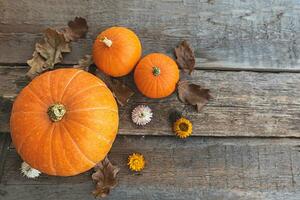 fondo otoñal. caída de otoño natural ver calabazas sobre fondo de madera. papel tapiz inspirador de octubre o septiembre. cambio de temporada concepto de comida orgánica madura, fiesta de halloween día de acción de gracias foto