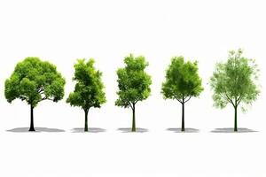 a set of trees in different stages of growth. Generative AI photo