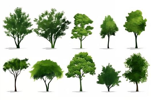a collection of different types of trees. Generative AI photo