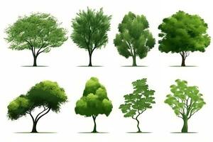 a collection of different types of trees. Generative AI photo