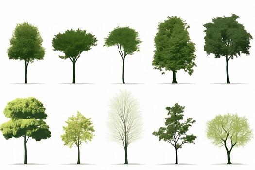 a collection of different types of trees. Generative AI photo