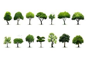 a collection of different types of trees. Generative AI photo