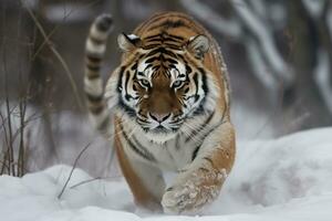 un Tigre caminando mediante el nieve. generativo ai foto