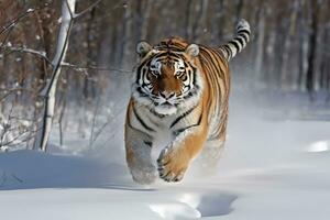 un Tigre corriendo mediante el nieve en el bosque. generativo ai foto