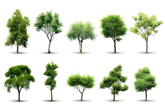 a collection of different types of trees. Generative AI photo