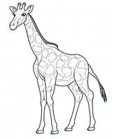 vector of giraffe in black and white coloring. Animal coloring page. Generative AI photo