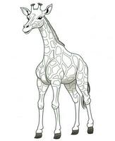 a giraffe is standing in a line on a white background. Generative AI photo