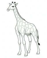 vector of giraffe in black and white coloring. Animal coloring page. Generative AI photo