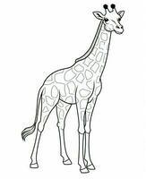 giraffe coloring pages. Generative AI photo