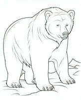 vector dibujos animados encantador osito de peluche oso. animal colorante página. monocromo negro animal ilustración. generativo ai foto