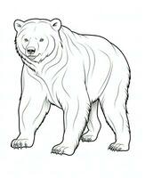 vector of bear in black and white coloring. Animal coloring page. Generative AI photo