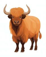 vector illustration of a highland cow isolated on white background. Generative AI photo