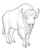 Vector of buffalo in black and white coloring. Animal coloring page for kids. Generative AI photo