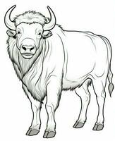 Vector of buffalo in black and white coloring. Animal coloring page for kids. Generative AI photo