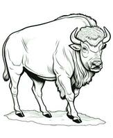 a coloring page of a bison. Generative AI photo