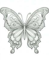 Illustration for coloring book with butterfly isolated on white background. Generative AI photo