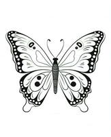 butterfly coloring page for kids. Generative AI photo