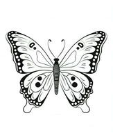 butterfly coloring page for kids. Generative AI photo