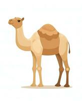 Color vector image of camel stands on white background. Generative AI photo