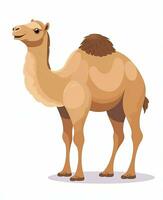 Color vector image of camel stands on white background. Generative AI photo