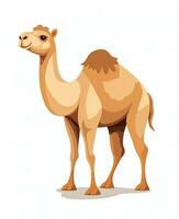 Color vector image of camel stands on white background. Generative AI photo