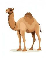 Color vector image of camel stands on white background. Generative AI photo