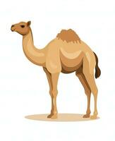 Color vector image of camel stands on white background. Generative AI photo