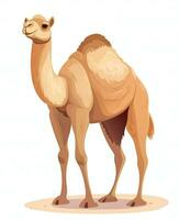 Color vector image of camel stands on white background. Generative AI photo