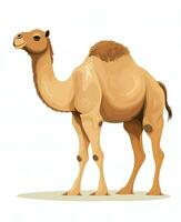 Color vector image of camel stands on white background. Generative AI photo
