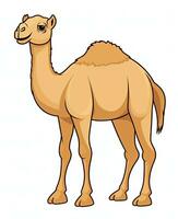 cartoon camel isolated on white background. Generative AI photo