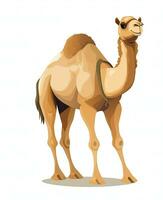 Color vector image of camel stands on white background. Generative AI photo