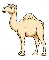 color vector imagen de camello soportes en blanco antecedentes. generativo ai foto