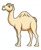 Color vector image of camel stands on white background. Generative AI photo