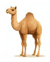 Color vector image of camel stands on white background. Generative AI photo