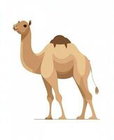 Color vector image of camel stands on white background. Generative AI photo