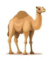 a camel is standing in front of a white background. Generative AI photo