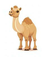 a camel is standing in front of a white background. Generative AI photo