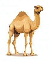 a camel standing on a white background. Generative AI photo