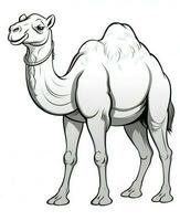 Camel vector drawing. Coloring Page Isolated for Kids. Generative AI photo