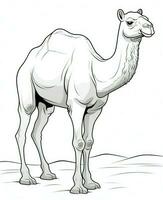 Camel vector drawing. Coloring Page Isolated for Kids. Generative AI photo