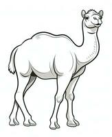 a camel is standing in a line on a white background. Generative AI photo