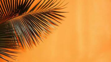 Concrete orange background with palm leaves. photo