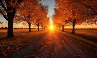 village road in autumn afternoon, ai generative photo