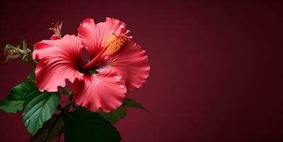 macro hibisco flor Copiar espacio, ai generativo foto