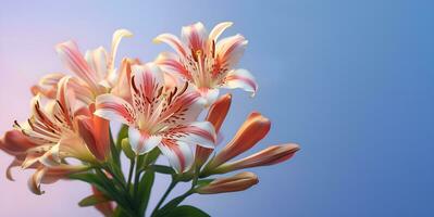 Alstroemeria hermosa flor Copiar espacio, ai generativo foto