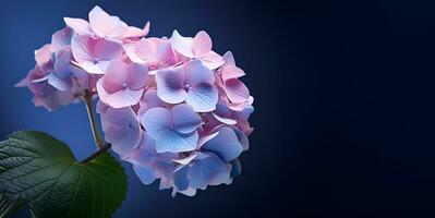 beautiful hydrangea flowers blank space background, ai generative photo